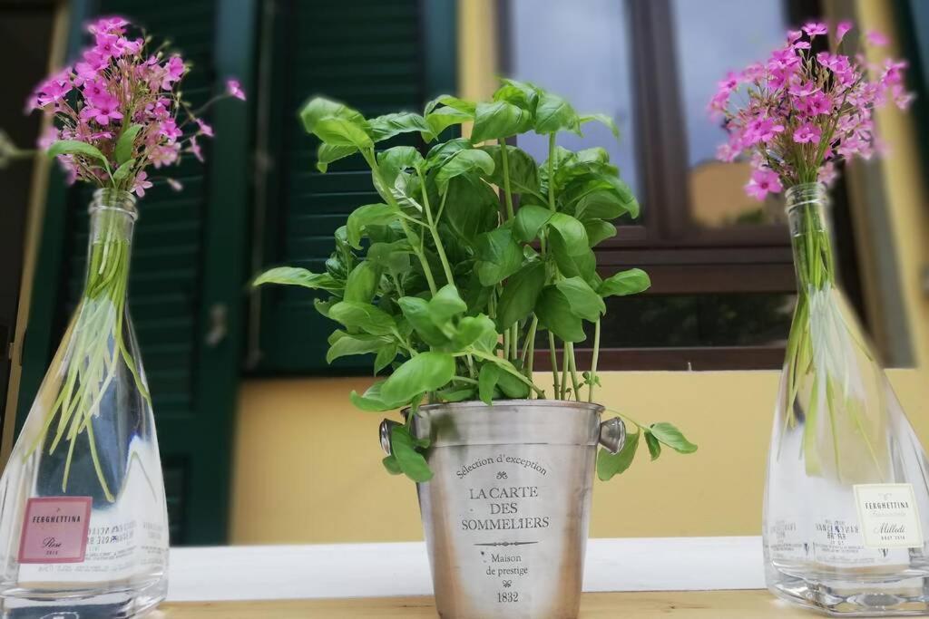 Flower Garden Apartment Vicino Al Centro Флоренция Экстерьер фото
